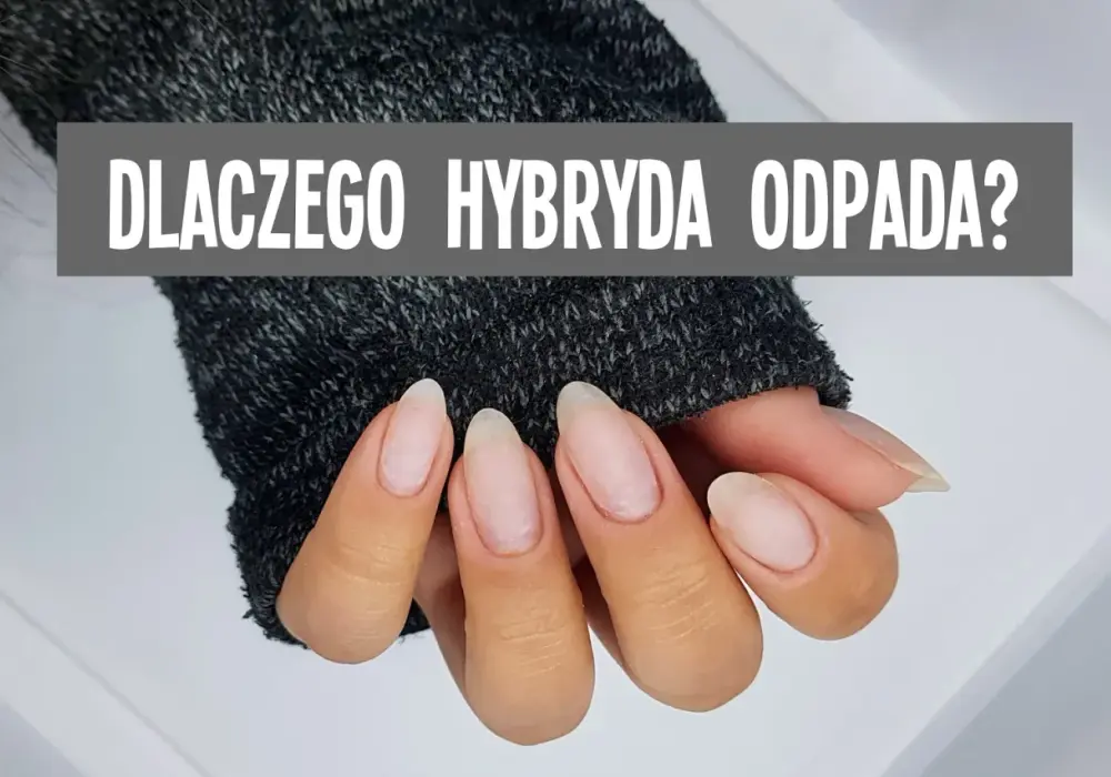 Dlaczego hybryda odpada? 5 wad, które warto znać przed zakupem