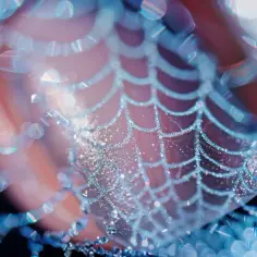 Paznokcie spider gel - odkryj najnowszą rewolucję na rynku