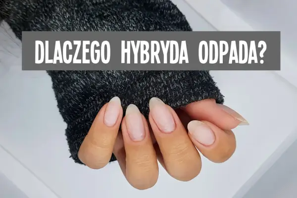 Dlaczego hybryda odpada? 5 wad, które warto znać przed zakupem